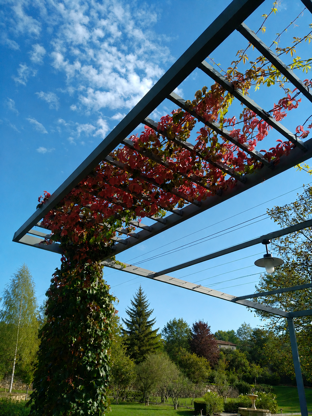 Pergola végétale en aluminium avec feuillage automnal et végétation adaptée au contexte suisse