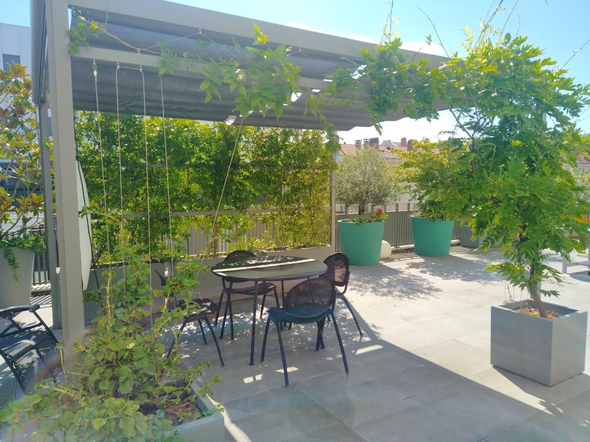 Pergola végétalisée sur une terrasse urbaine avec végétation mature